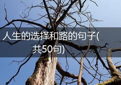 人生的选择和路的句子(共50句)