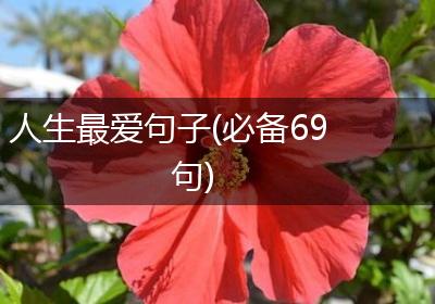 人生最爱句子(必备69句)
