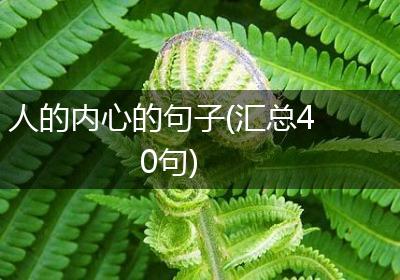 人的内心的句子(汇总40句)