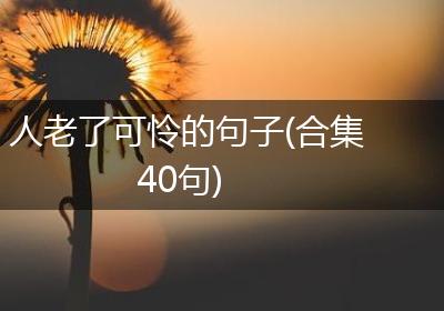人老了可怜的句子(合集40句)