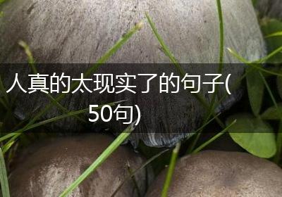 人真的太现实了的句子(50句)