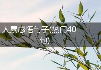 人累感悟句子(热门40句)