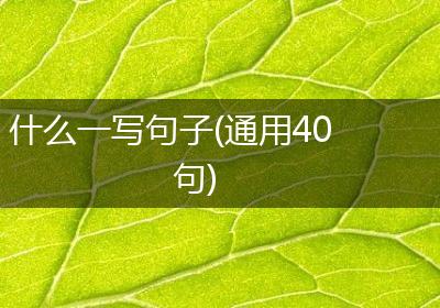 什么一写句子(通用40句)