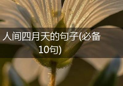 人间四月天的句子(必备10句)