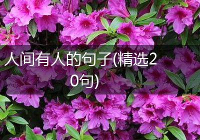 人间有人的句子(精选20句)