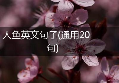 人鱼英文句子(通用20句)