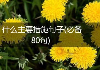 什么主要措施句子(必备80句)