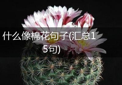 什么像棉花句子(汇总15句)