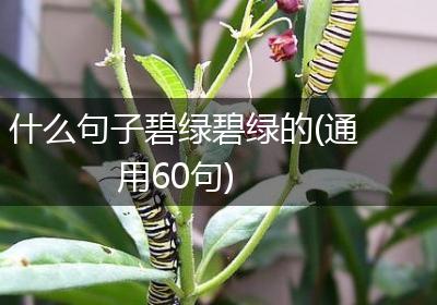 什么句子碧绿碧绿的(通用60句)