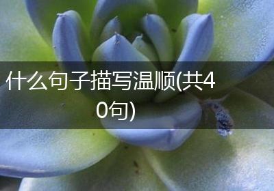 什么句子描写温顺(共40句)