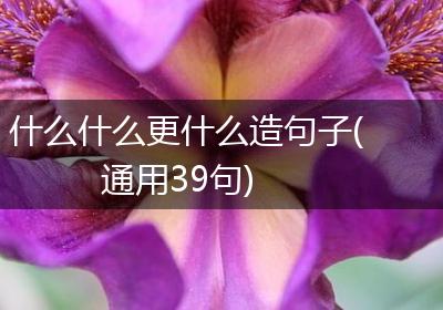 什么什么更什么造句子(通用39句)