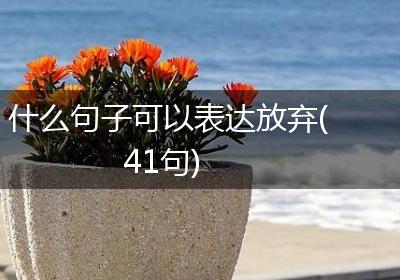 什么句子可以表达放弃(41句)