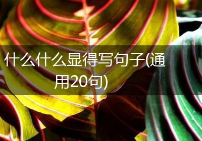 什么什么显得写句子(通用20句)
