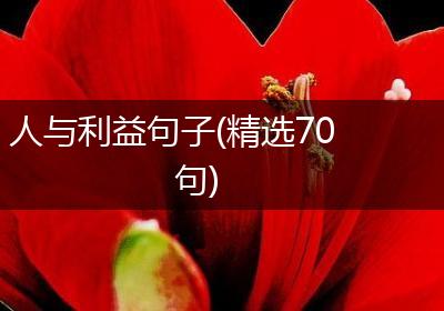 人与利益句子(精选70句)