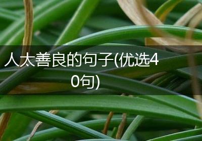 人太善良的句子(优选40句)