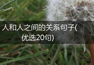 人和人之间的关系句子(优选20句)