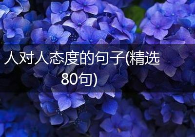人对人态度的句子(精选80句)
