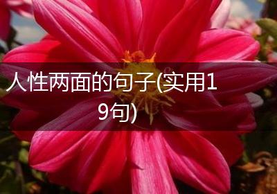 人性两面的句子(实用19句)