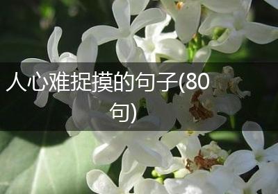 人心难捉摸的句子(80句)