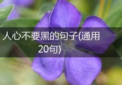 人心不要黑的句子(通用20句)