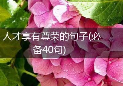 人才享有尊荣的句子(必备40句)