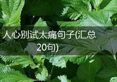 人心别试太痛句子(汇总20句)