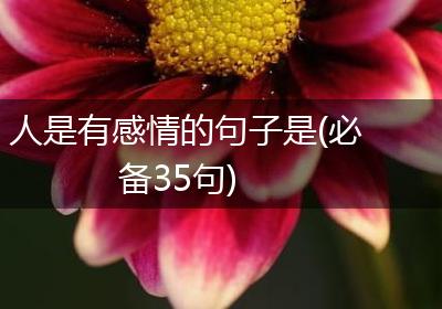 人是有感情的句子是(必备35句)