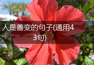 人是善变的句子(通用43句)