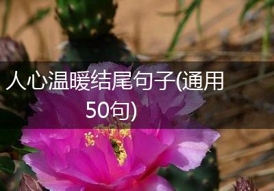 人心温暖结尾句子(通用50句)