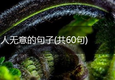 人无意的句子(共60句)