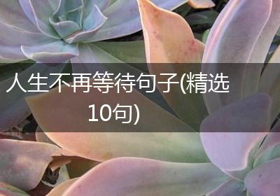人生不再等待句子(精选10句)