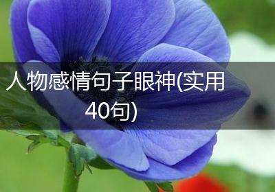 人物感情句子眼神(实用40句)