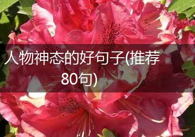人物神态的好句子(推荐80句)