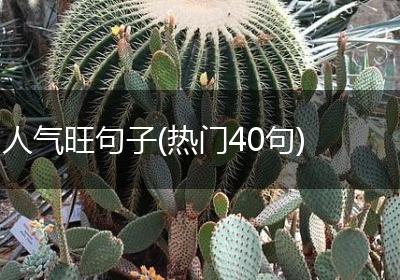 人气旺句子(热门40句)