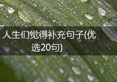 人生们觉得补充句子(优选20句)