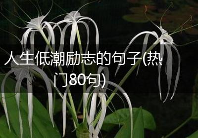 人生低潮励志的句子(热门80句)