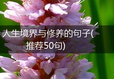 人生境界与修养的句子(推荐50句)