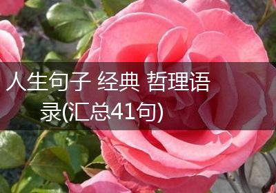 人生句子 经典 哲理语录(汇总41句)