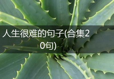 人生很难的句子(合集20句)
