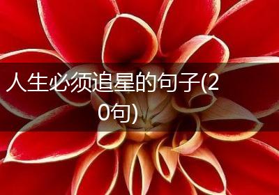 人生必须追星的句子(20句)