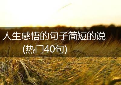 人生感悟的句子简短的说(热门40句)