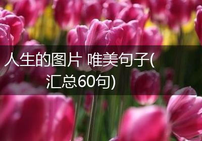 人生的图片 唯美句子(汇总60句)