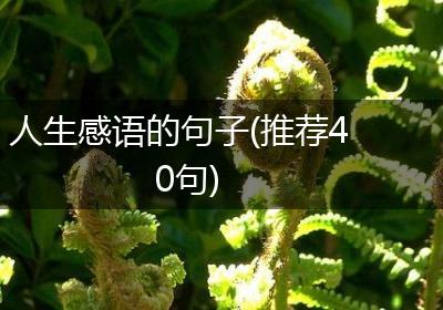 人生感语的句子(推荐40句)