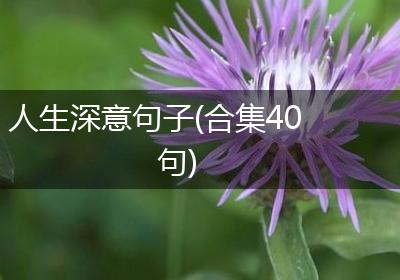 人生深意句子(合集40句)