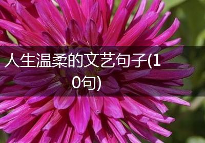 人生温柔的文艺句子(10句)