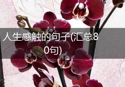 人生感触的句子(汇总80句)