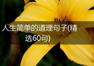人生简单的道理句子(精选60句)