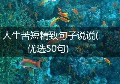 人生苦短精致句子说说(优选50句)