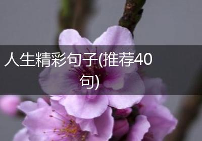 人生精彩句子(推荐40句)