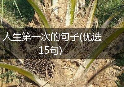 人生第一次的句子(优选15句)